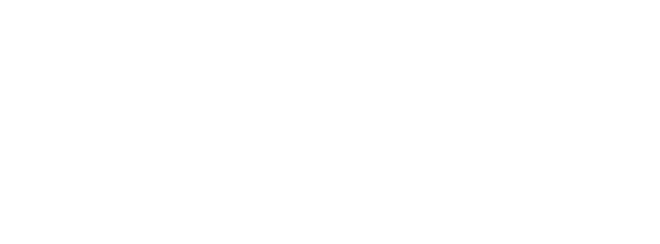 Main Logo White